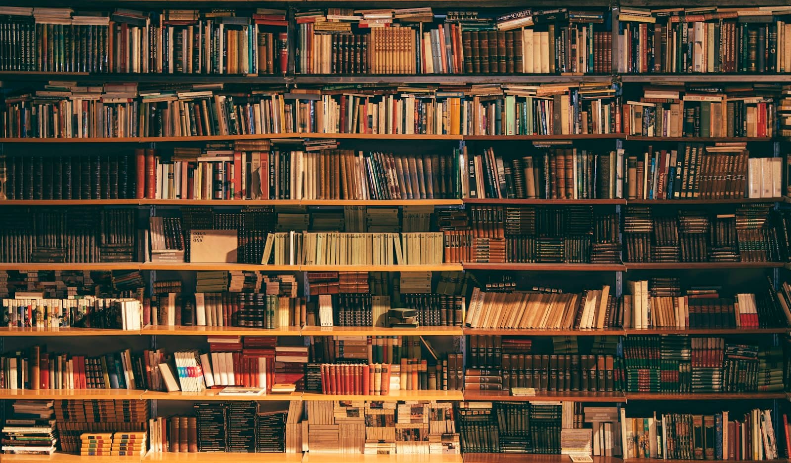 Library shelves of archived volumes